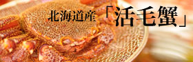 ��¤γ��ӥ���
