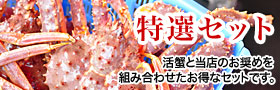 ��¤γ質���������å�