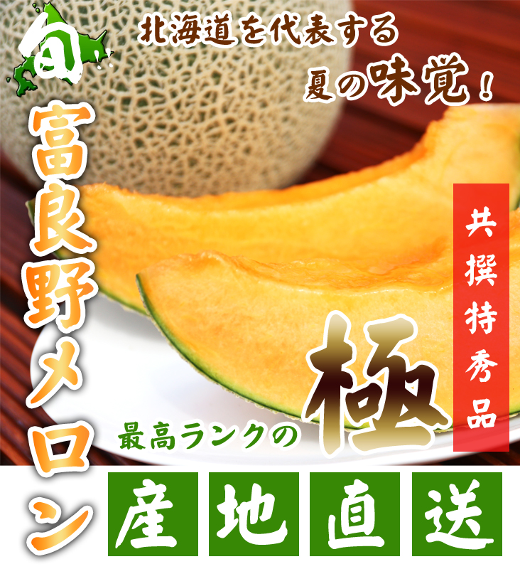 2021年お中元にも】【産地直送】 北海道富良野メロン 【産直の為同梱不可】